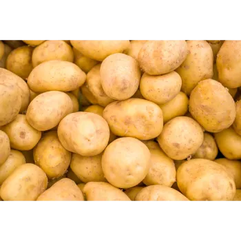 Potato (43)-6568446-78520.webp